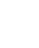 Website Development